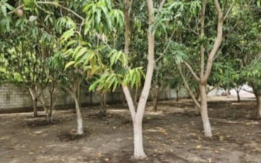 Terreno en Monterrico